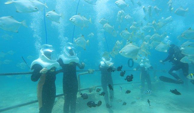 重温岭南爵士音乐会，苍海湖冬日浪漫不散场